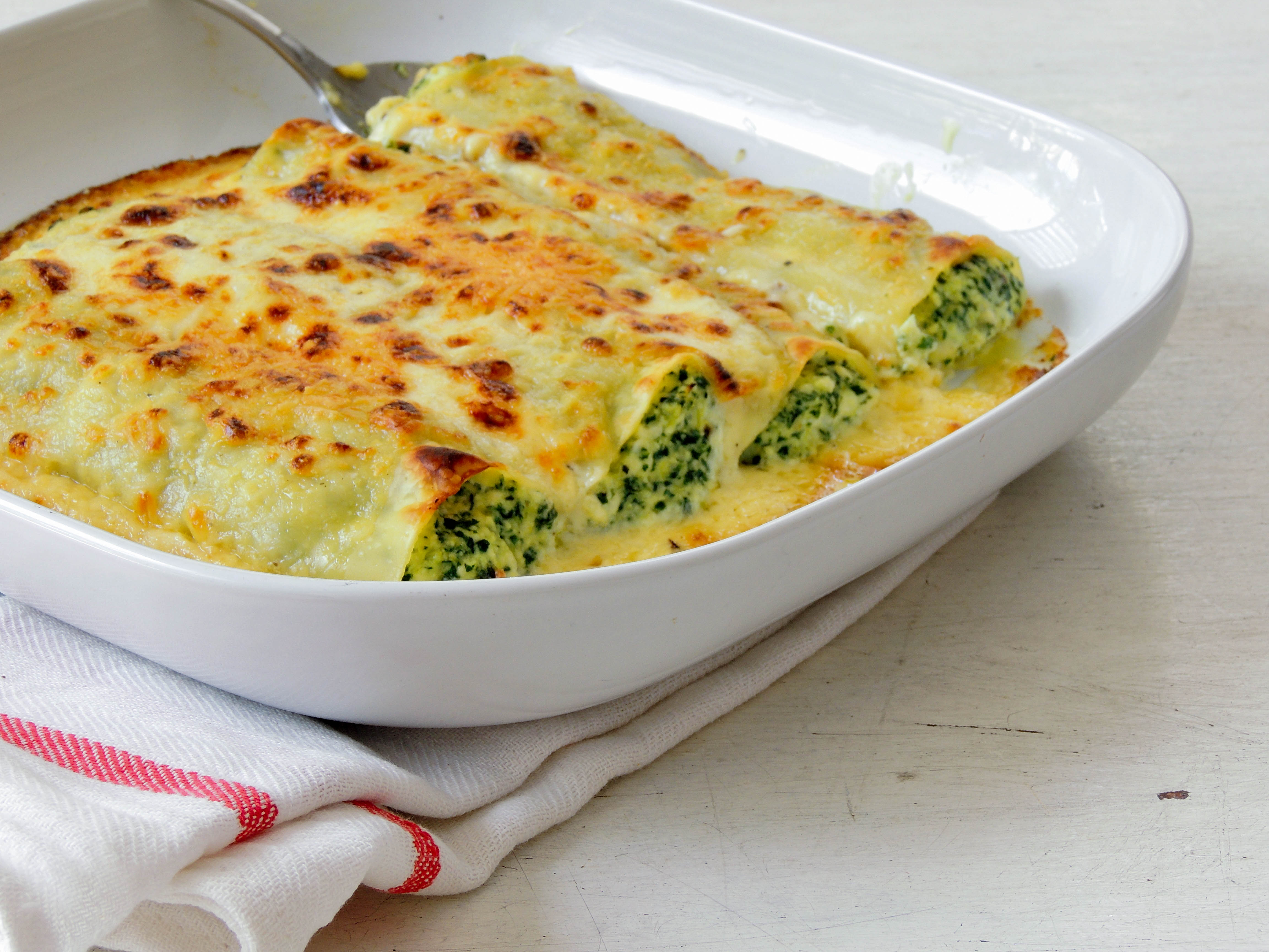 spinach and ricotta cannelloni recipe with white sauce