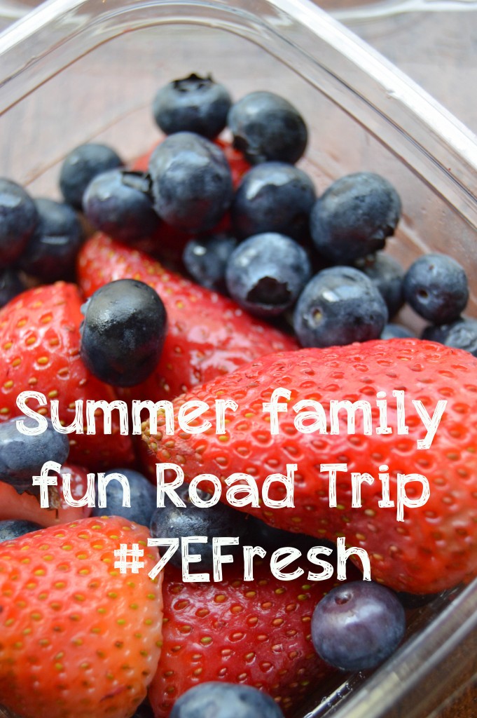 Summer family fun Road Trip #7EFresh - The Petit Gourmet